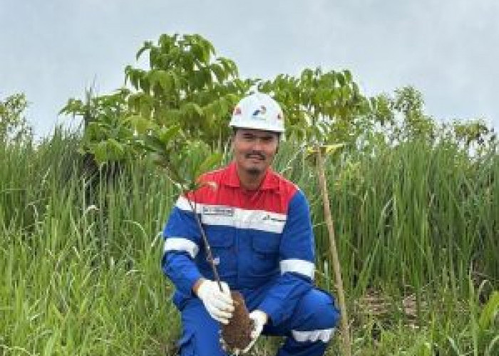 PGE Lumut Balai Tanam 2.218 Pohon, Perkuat Hutan dan Jaga Keberlanjutan Energi Panas Bumi