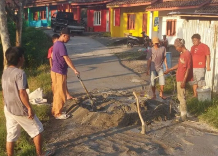 Gotong Royong Bangun Jalan Setapak, Harap Sentuhan Pemerintah