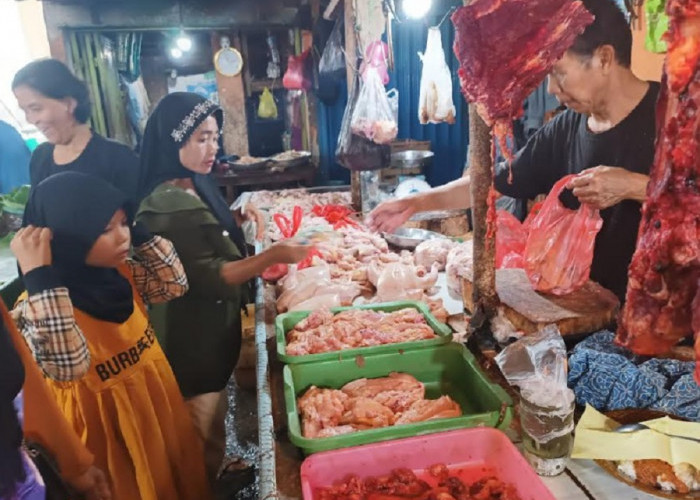 Harga Ayam Potong di Pasar Baturaja Tembus Rp45 Ribu 