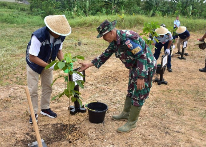 Rayakan HUT RI ke-79, Gelar Kegiatan Tanam Pohon