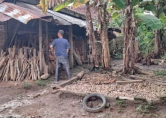 Harga Pinang di OKU Selatan Anjlok ke Rp9.000 per Kg