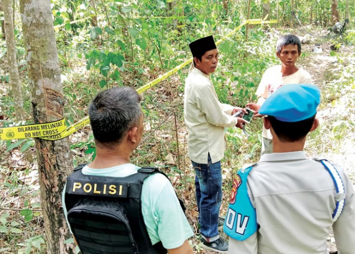 Ibu Hamil di Kabupaten Mura Tewas Diserang Belasan Gajah Liar