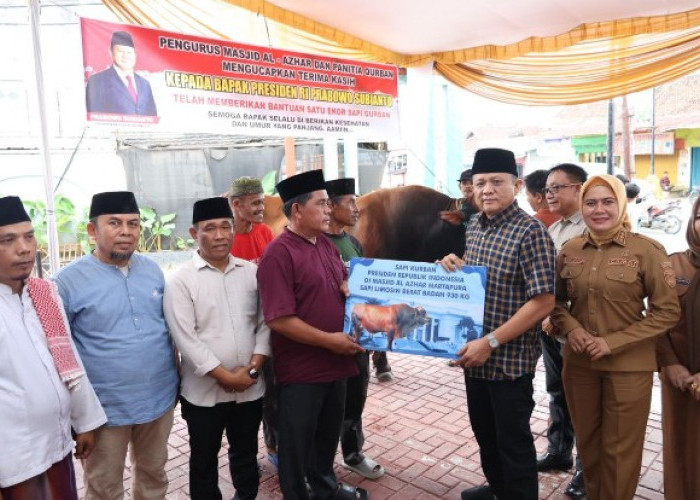 Sapi Limousin Hampir 1Ton Tiba di  OKU Timur