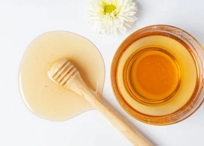 Macam - macam Obat Herbal Sariawan yang Efektif dan Ampuh