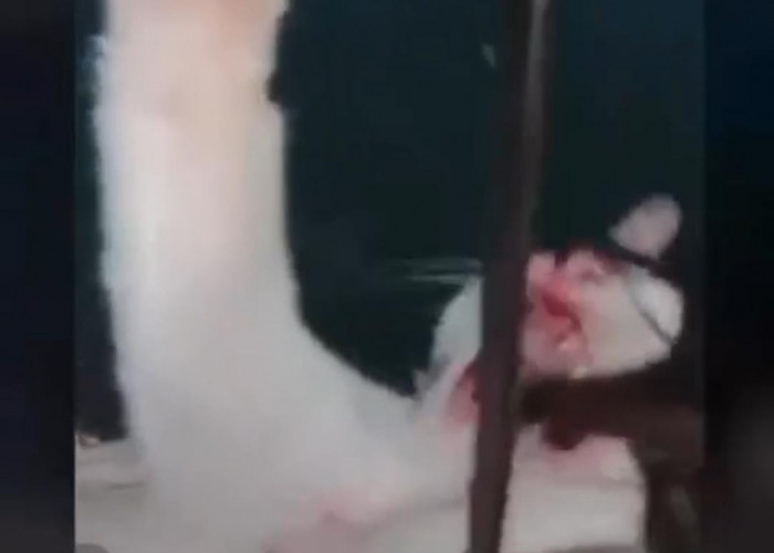 Viral Video Kucing Disiksa, Diduga di Baturaja 
