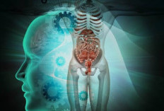 Proses Adaptasi Tubuh Saat Puasa yang Jarang Disadari