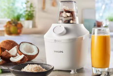 Rekomendasi Blender Terbaik 2026 Philips, Mana Paling Worth It?