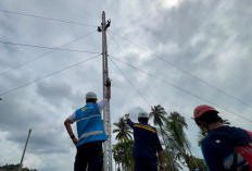 Menteri ESDM Tinjau Langsung Perbaikan Kelistrikan Aceh oleh PLN