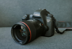 Terbukti Awet dan Tajam! Rekomendasi Kamera DSLR Paling Layak Dibeli 2026
