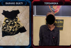 Pria Parubaya di OKU Diduga Rudakpaksa Menantunya Sendiri Ditangkap Polisi