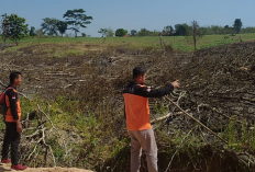 Karhutlah di OKU, Api Melalap Lahan di Desa Terusan