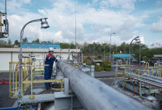 PEP Zona 4 Catat Laba EBITDA US$887,44 Juta, Produksi Migas Naik 6,6% di 2025