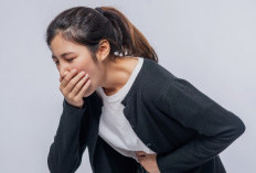 Maag dan Asam Lambung: Jangan Disamakan, Ini Perbedaan, Gejala, dan Cara Mengatasinya