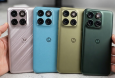 Bocoran Terbaru! Motorola Edge 70 Neo Muncul dalam 4 Warna, Kamera 200MP Bikin Penasaran