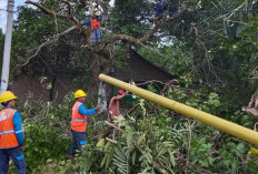 Gotong Royong Warga Bersama Petugas PLN ULP Muara Dua UP3 Lahat Bersihkan Jaringan Dis