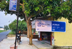 AgenBRILink BRI BO Baturaja Catat Fee Income, Agen Jawara & Juragan Jadi Penopang Utama