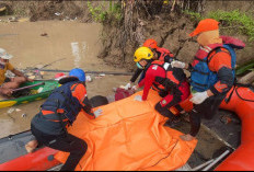 Nekat Berenang Seberangi Sungai