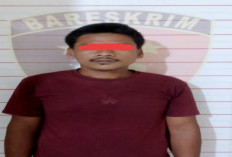Jejak Getah Karet Berujung Borgol, Pria di OKU Diamankan 