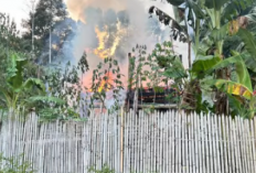 Rumah Petani di Ulu Ogan OKU  Ludes Terbakar