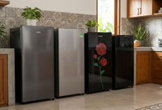 Rekomendasi Kulkas 1 Pintu Hemat Listrik Terbaik di Bawah 3 Juta (2026)