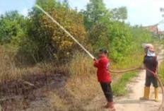 Kebakaran Lahan,di OKU Berhasil Dipadamkan Sebelum Merembet ke Permukiman