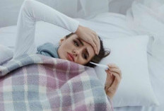 Jangan Tertukar! Ini Perbedaan Tifus dan Tipes yang Wajib Kamu Ketahui