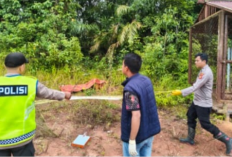 Petani di OKU Ditemukan Tewas di Bawah Kabel Tegangan Tinggi