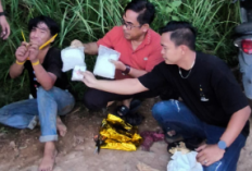 Tim Elang Musi Polres Musi Rawas Hentikan Kurir dari Muratara, Sabu 2 Kilogram Lebih dan Ekstasi 20 Butir