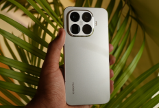 Rekomendasi HP Flagship Killer Kamera Terbaik 2026 Versi Harga Terjangkau