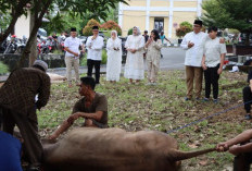 Polres OKU Bagikan 988 Kantong Daging Kurban hingga Pelosok Permukiman