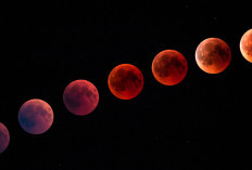 Warga Sumsel Bisa Lihat Gerhana Bulan Total