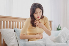 Jangan Tertipu Saat Demam Turun! Kenali Fase Kritis Demam Berdarah yang Paling Berbahaya