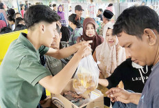 Harga Ayam Potong dan Cabai Merah Turun Sedangkan Daging dan Telur Ayam Tetap