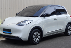 Mobil Listrik Bekas Paling Worth Dibeli Awal 2026 Harga Mulai Rp90 Jutaan, Ini Daftarnya