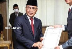 Profil Alva Elan Calon Sekda OKU yang Bakal Segera Dilantik 