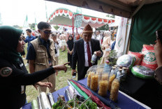 SMBR Dorong UMKM Naik Kelas Lewat Pameran HUT OKU ke-116   
