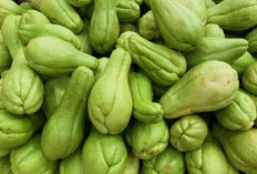 Resep Sayur Labu Gurih dan Praktis untuk Sehari-hari