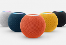 Resmi Ketahuan dari Kode Apple! Ini Wujud HomePod Mini 2 dengan Warna Pink dan Hijau yang Bikin Baper 