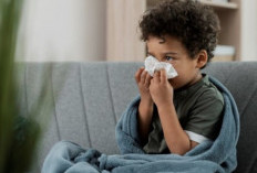 Anak Terserang Flu? Ini Cara Alami Meredakan Gejalanya dan Kapan Harus ke Dokter