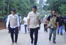 Tinjau Progres Jalan Karang Agung–Buana Pemaca, Dorong Konektivitas Antarwilayah