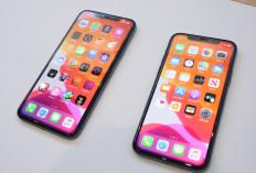 Harga iPhone Turun Drastis di Akhir Januari 2026 Ini Harga Resmi iBox yang Bikin Tergoda