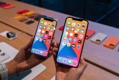 Harga iPhone Terbaru Awal 2026 Dari iPhone 13 sampai iPhone 16 Pro Max Turun Drastis