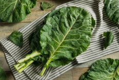 Sawi Hijau Segar, Inspirasi Olahan Praktis untuk Menu Sehari-hari