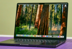 5 Laptop Content Creator Terbaik Februari 2026, Editing Auto Ngebut!