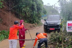 Longsor Teratasi, Ruas Jalan Sungai Are–Ujan Mas OKU Selatan Sudah Bisa Dilalui