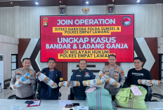 Ladang Ganja seluas 20 Hektar di Empat Lawang Digrebek, 220 Kg Ganja dan Bandar Utama Ditangkap