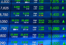 Harga IHSG Kembali Naik, Pengaruh Sentimen The Feeds Turunkan Suku Bunga dan Kapital Asing Mulai Bergeser