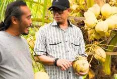 Makin Serius! Bupati OKU Siapkan Revolusi Sektor Pertanian