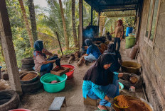 Objek Reforma Agraria yang Menumbuhkan Harapan Warga Kulon Progo