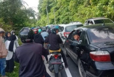 Libur Tahun Baru, Jalur Ranau–Krui Macet Total Akibat Lonjakan Wisatawan